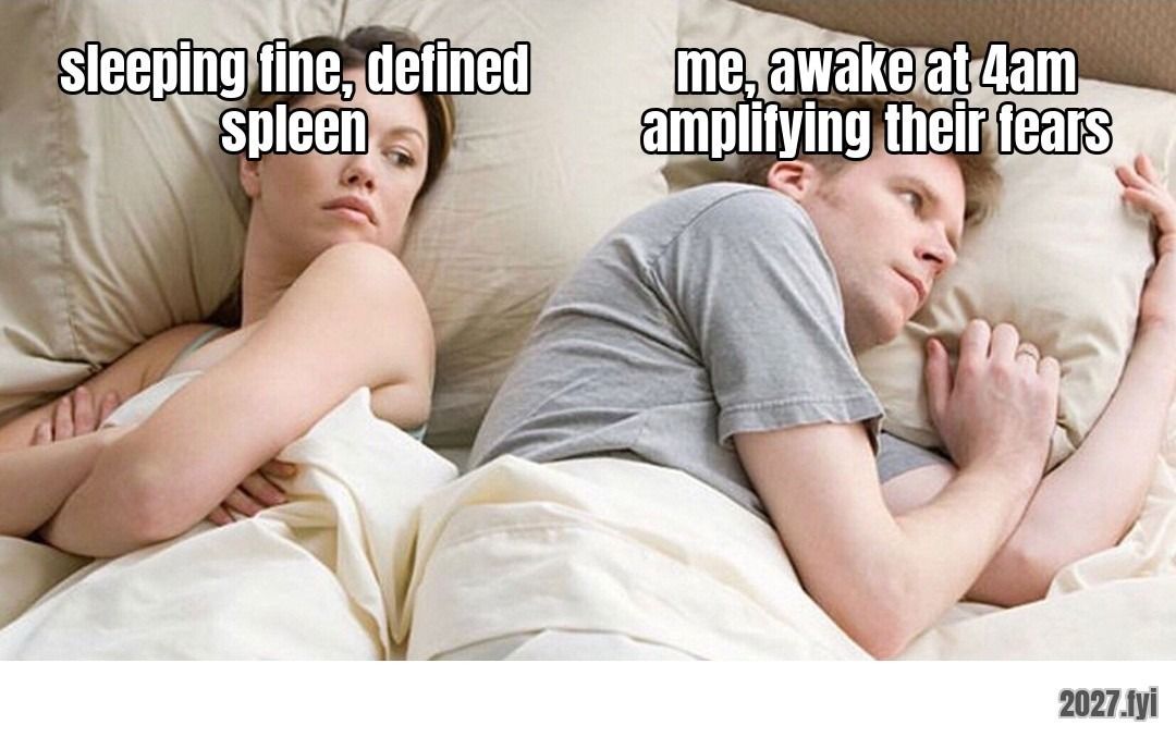 A couple lying awake in bed. ra: "you go to sleep with somebody with a defined spleen, you got an undefined spleen" / sleeping fine, defined spleen / me, awake at 4am amplifying their fears