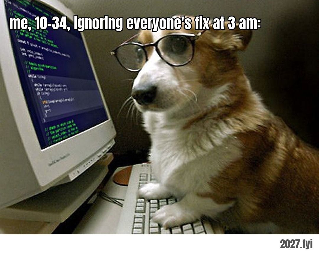A corgi in glasses at a computer. ra: "every time i've had a programmer in my life, no exception in you, that they always have a 1034" / me, 10-34, ignoring everyone's fix at 3 am: