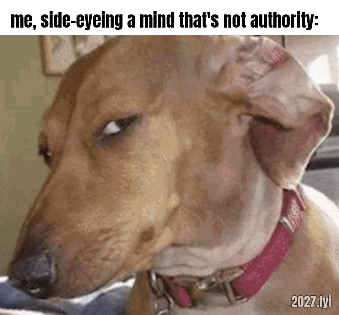 A dog giving a skeptical side eye. ra: "i mean, there's no mind to a dog" / the dog, filing a complaint: