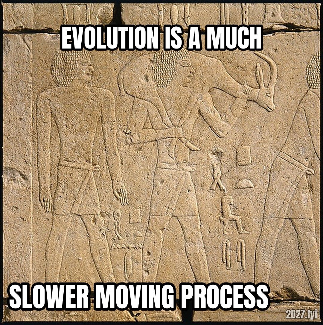 A relief from the tomb chapel of Raemkai, ca. 2400 BCE. EVOLUTION IS A MUCH / SLOWER MOVING PROCESS