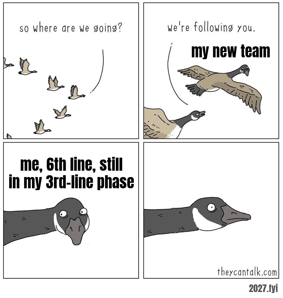 Four comic panels: flying geese ask where they are going and say they are following the lead goose, who stares back blankly. Labels: my new team / me, 6th line, still in my 3rd-line phase