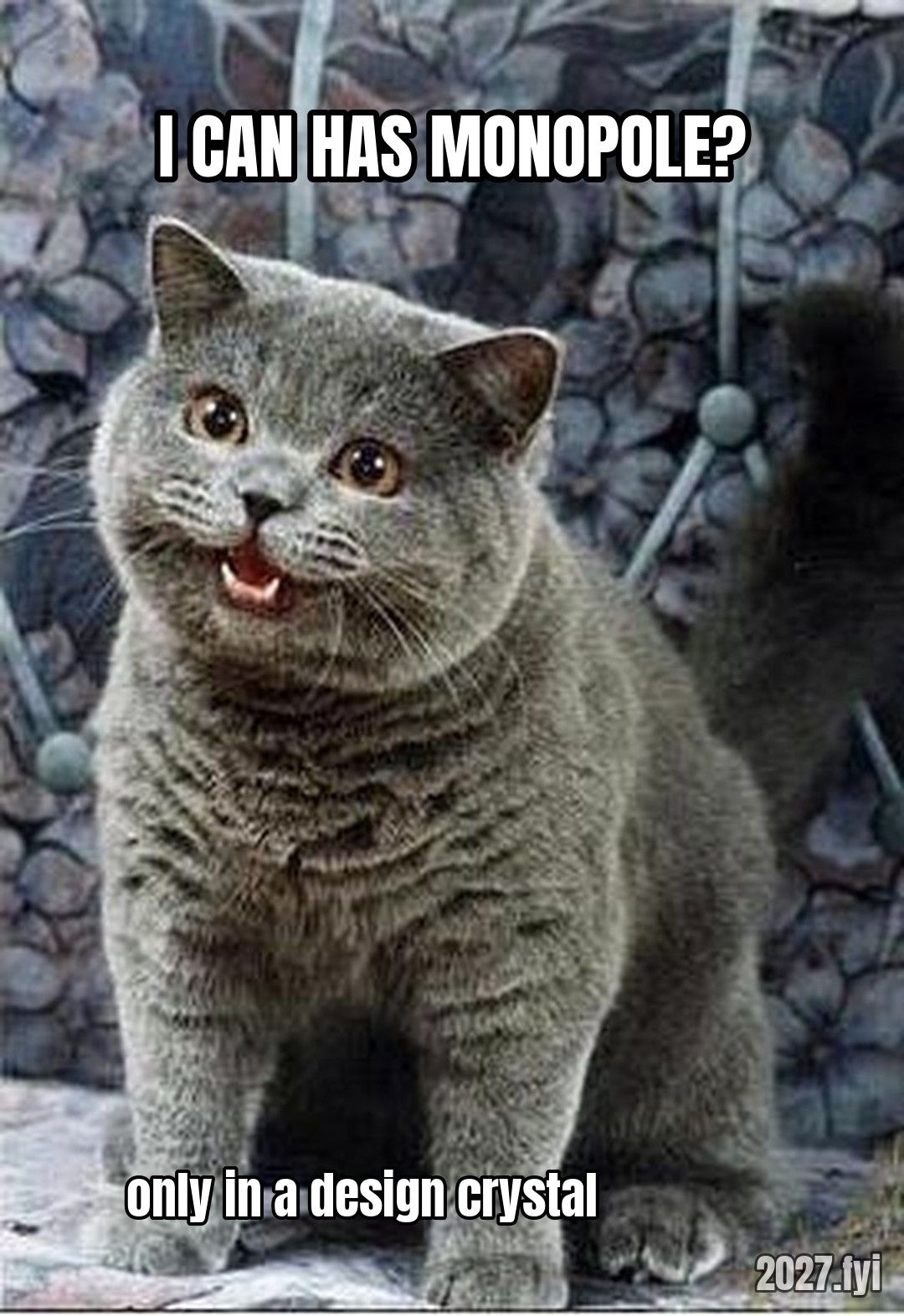 A cat looking up. I CAN HAS MONOPOLE? / only in a design crystal