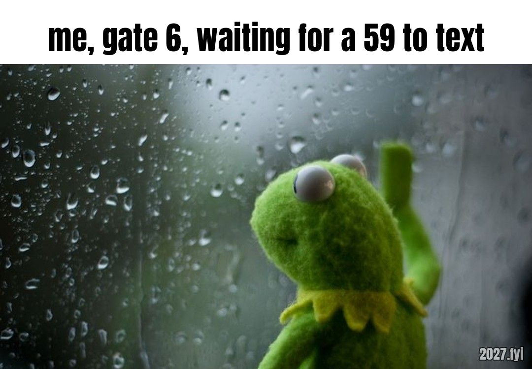 Kermit the Frog gazing wistfully out of a rain-streaked window. Label: me, gate 6, waiting for a 59 to text