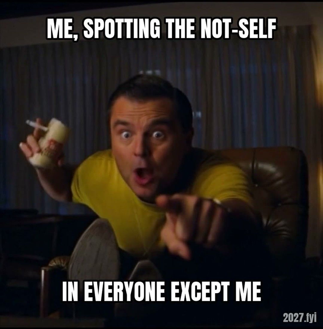 Leonardo DiCaprio Pointing meme. ME, SPOTTING THE NOT-SELF / in everyone except me
