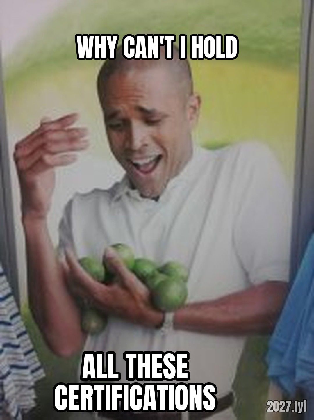Why Cant I Hold All These Limes meme. WHY CAN'T I HOLD / ALL THESE CERTIFICATIONS