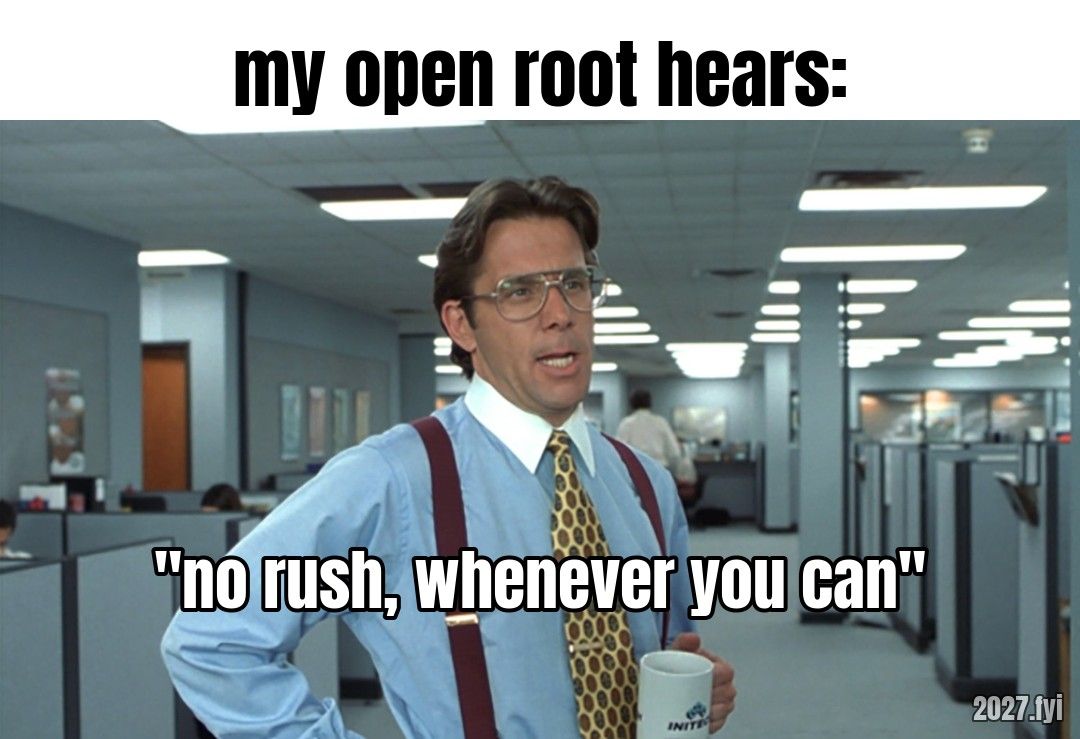 An office manager with a coffee mug in a cubicle office. Labels: my open root hears: / "no rush, whenever you can"