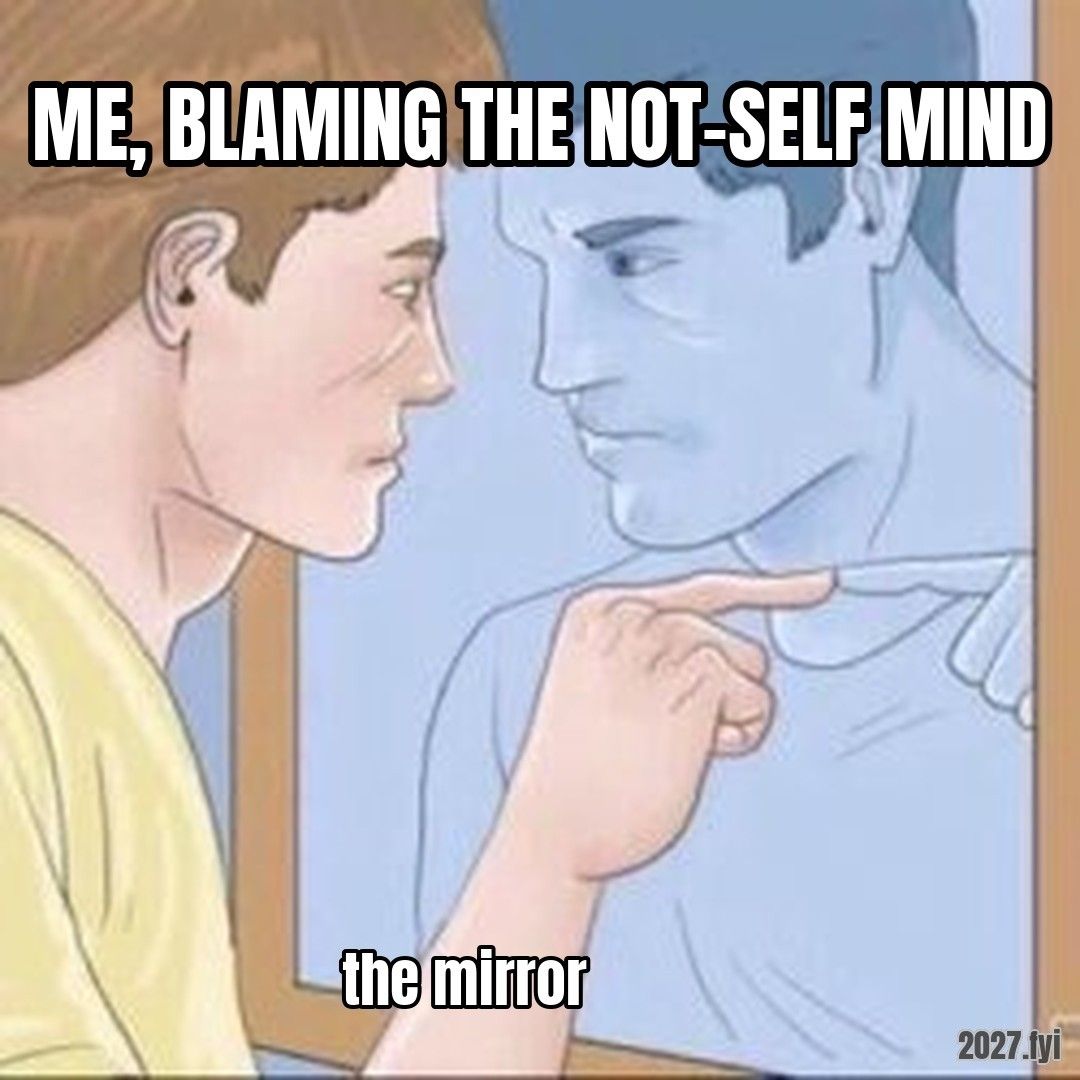 Pointing mirror guy meme. ME, BLAMING THE NOT-SELF MIND / the mirror