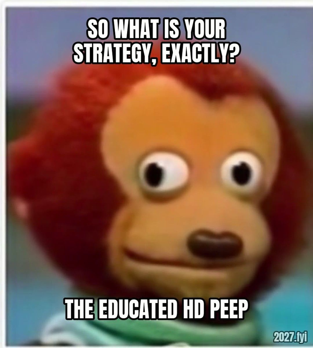 Monkey puppet looking away twice. SO WHAT IS YOUR STRATEGY, EXACTLY? / the educated hd peep