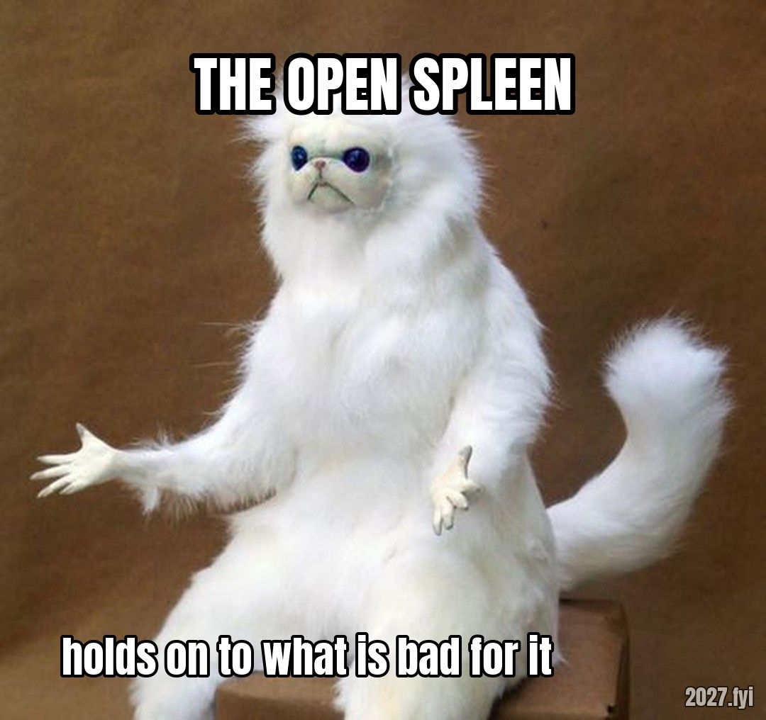 A white cat sitting upright. THE OPEN SPLEEN / holds on to what is bad for it