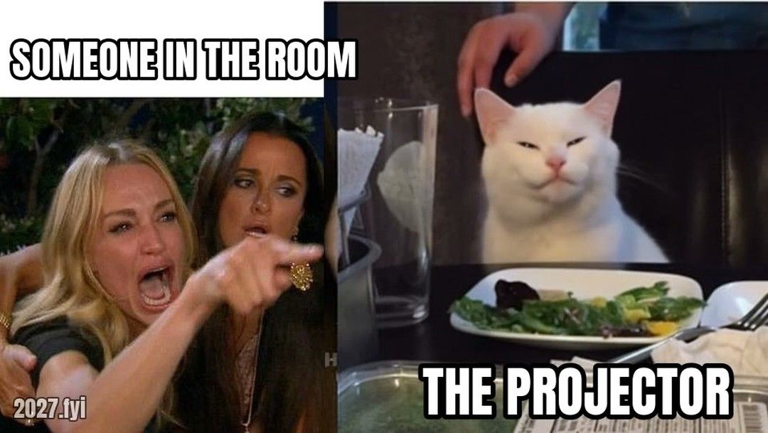 A woman yelling and pointing, labelled SOMEONE IN THE ROOM, at a smug white cat at a dinner table labelled THE PROJECTOR