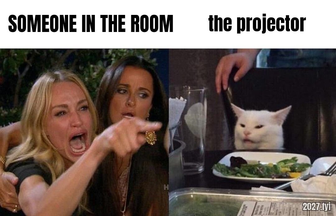 A woman yelling and pointing, labelled SOMEONE IN THE ROOM, at a smug white cat at a dinner table labelled THE PROJECTOR