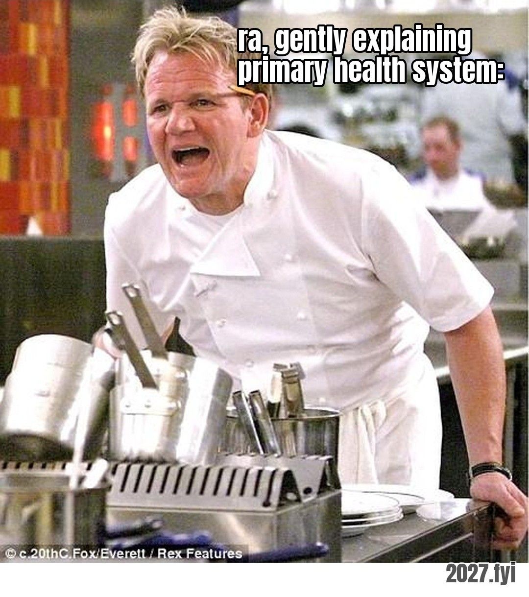 A chef yelling in a kitchen. ra: "if you can't butcher it, don't eat it, you know, go eat grass or berries or whatever the hell there is" / ra, gently explaining primary health system: