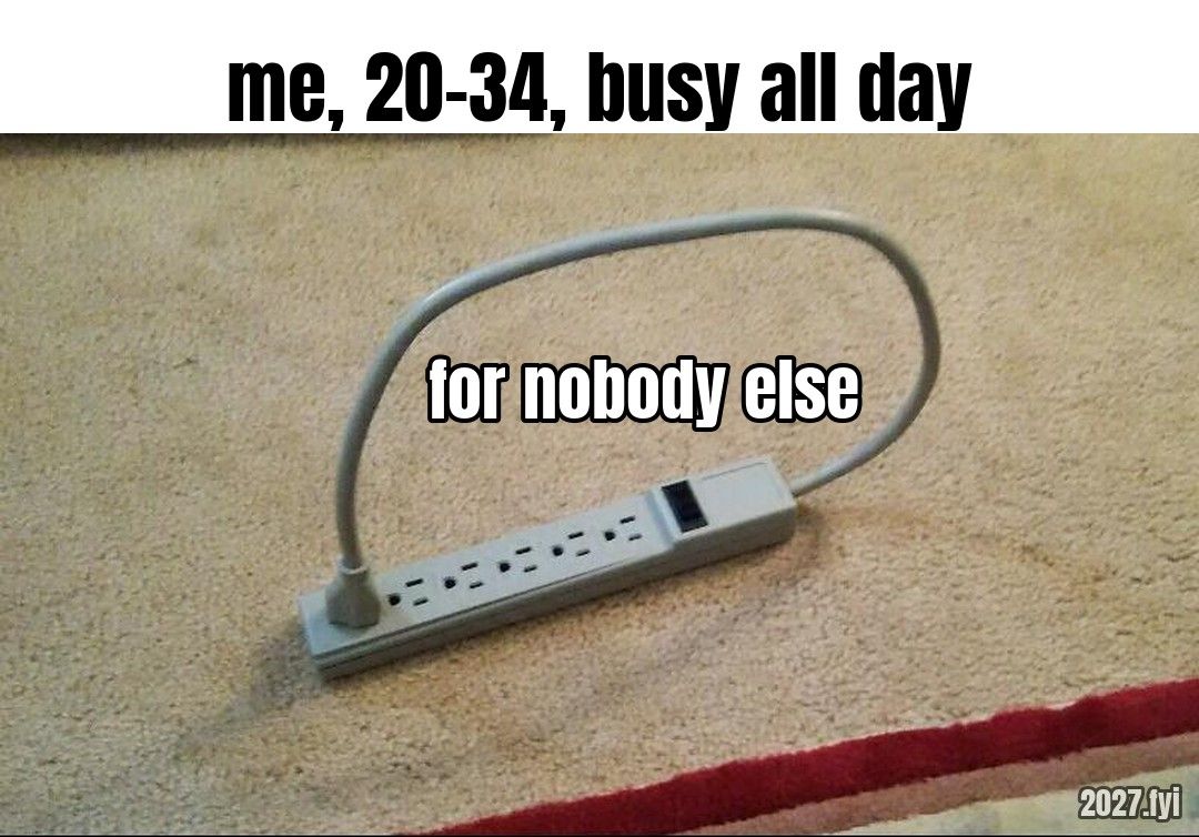A power strip lying on a carpet with its own plug in one of its sockets. Labels: me, 20-34, busy all day / for nobody else