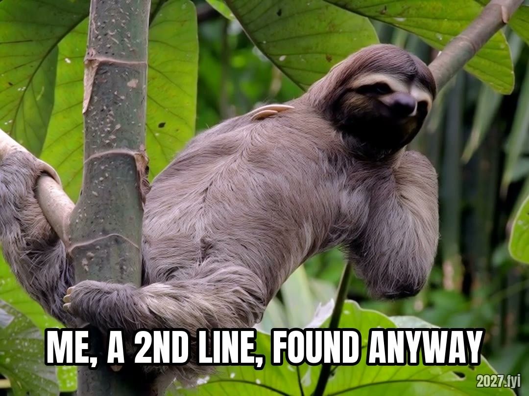 A sloth hanging relaxed from a tree branch among large green leaves. Label: me, a 2nd line, found anyway