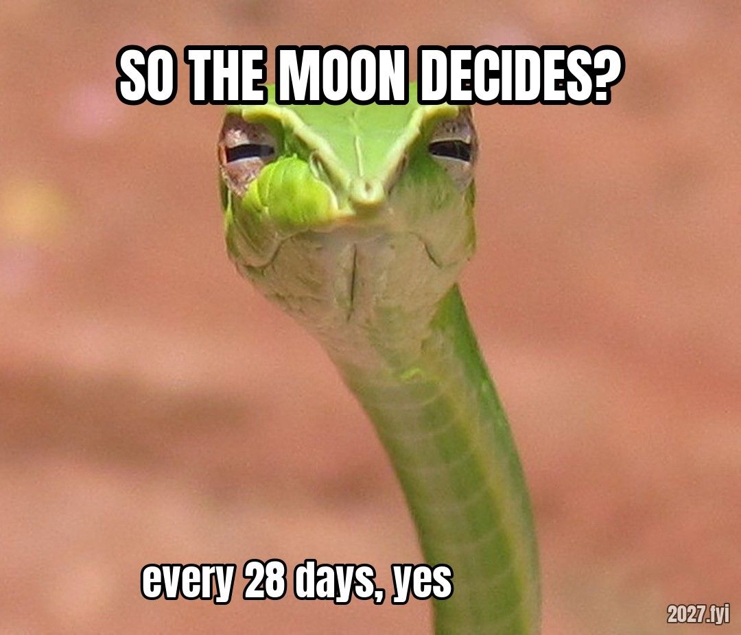 A skeptical snake. SO THE MOON DECIDES? / every 28 days, yes