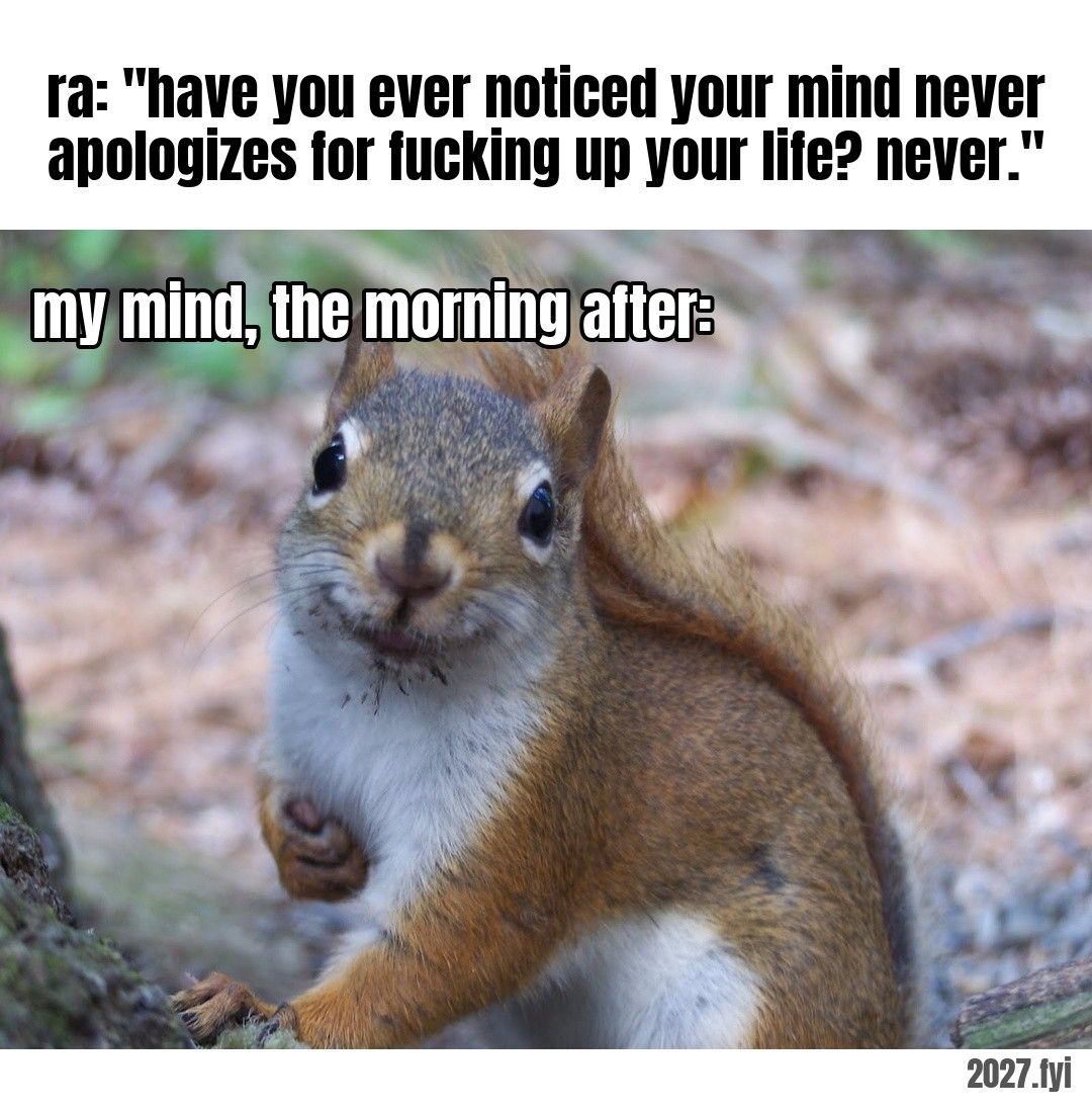 A squirrel with crumbs on its face looking up, unbothered. ra: "have you ever noticed your mind never apologizes for fucking up your life? never." / my mind, the morning after: