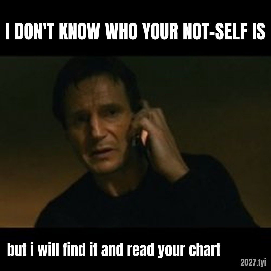 Liam Neeson Taken meme. I DON'T KNOW WHO YOUR NOT-SELF IS / but i will find it and read your chart