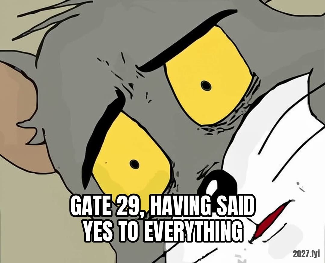 Tom the cat looking unsettled. gate 29, having said yes to everything: